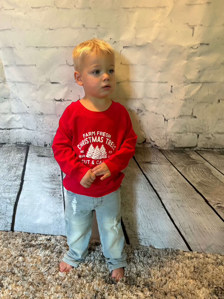 Organic Toddler Farm Fresh Tree Holiday Pullover Sweatshirt - full view Owen