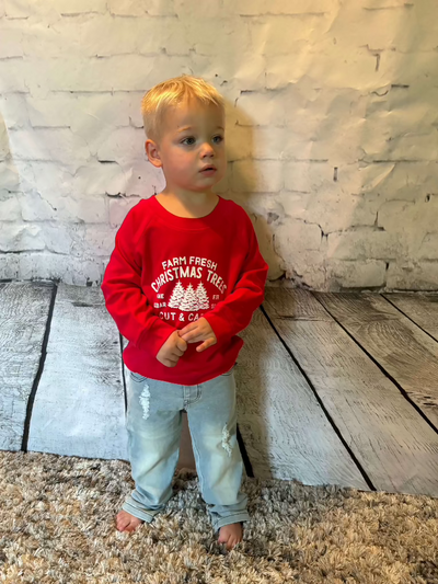Organic Toddler Farm Fresh Tree Holiday Pullover Sweatshirt - full view Owen