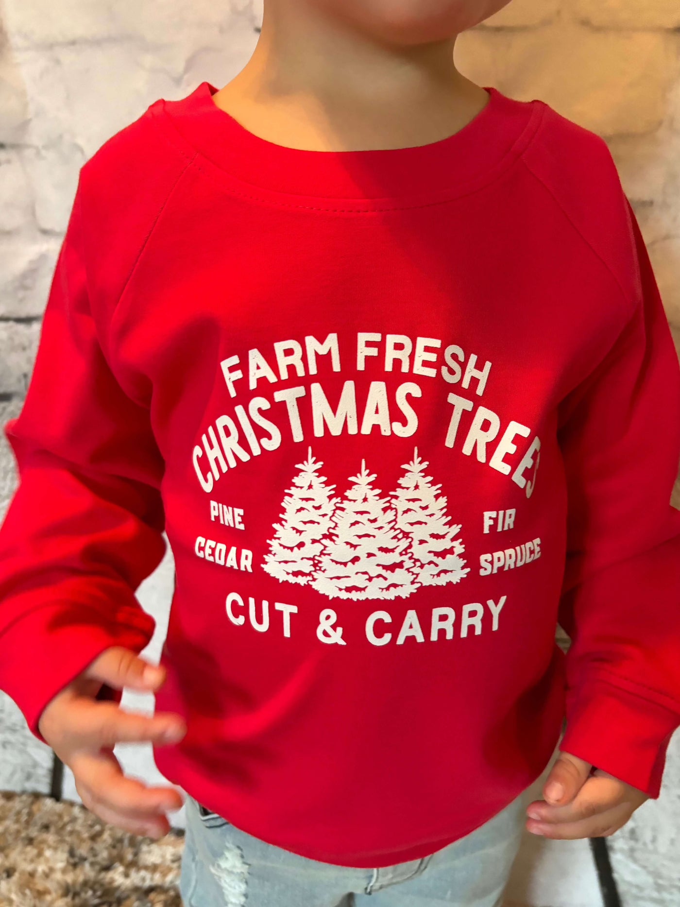 Organic Toddler Farm Fresh Tree Holiday Pullover Sweatshirt - logo
