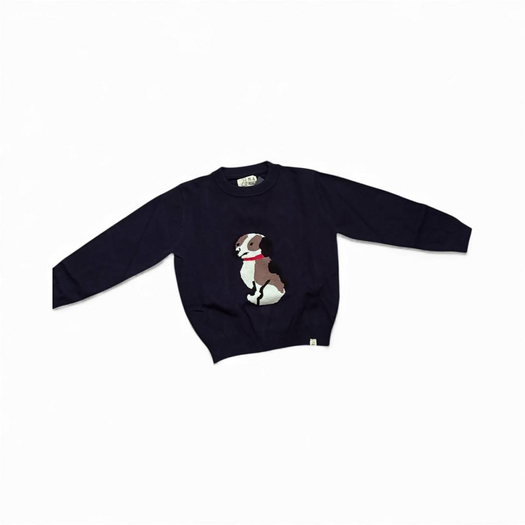 Me & Henry Blue Henry Sweater – Boys Long Sleeve Knit with Henry the Dog Design